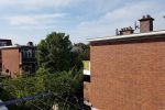 20160721_103037